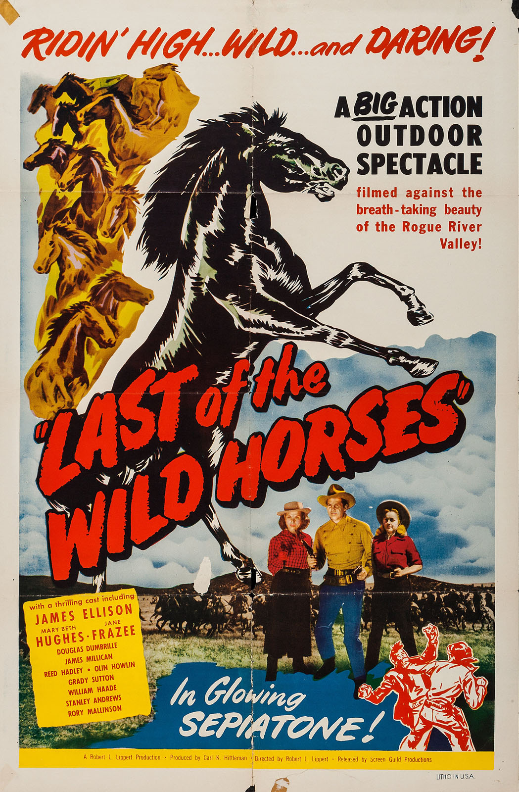 LAST OF THE WILD HORSES